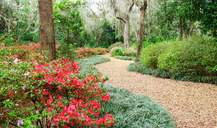 Bok Tower Gardens